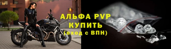 spice Аркадак