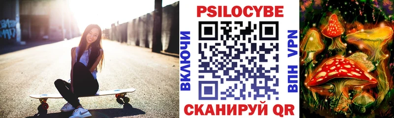 Галлюциногенные грибы Psilocybine cubensis Билибино